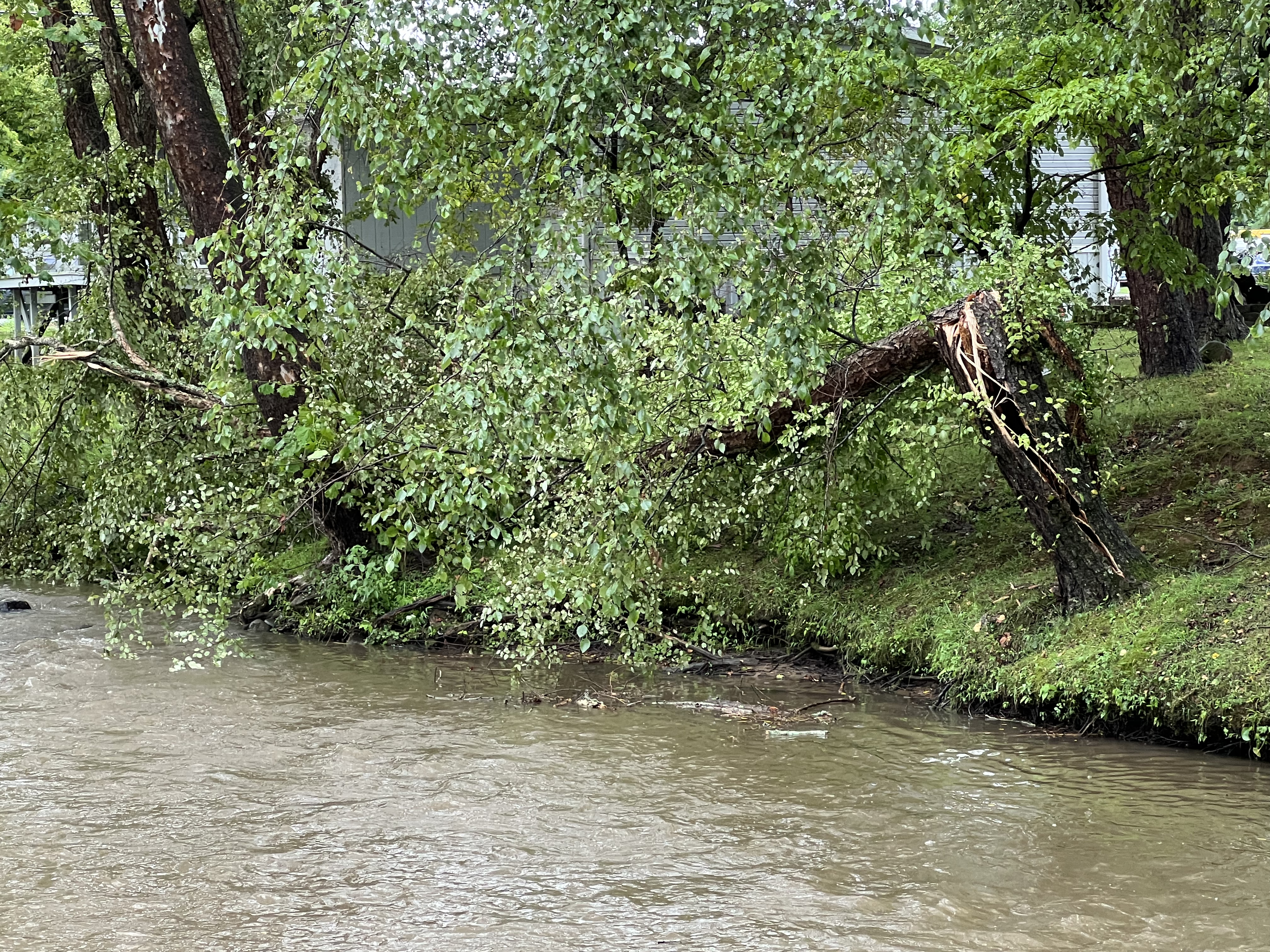 ./2023/11 - Asheville/IMG_9772.jpg